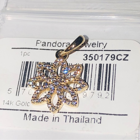 Authentic Pandora Solid 14k Gold Lace Botanique Floral Charm G585 Ale NWT - Picture 11 of 11